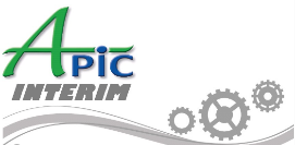 Logo : APIC INTERIM